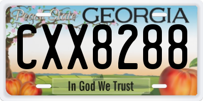 GA license plate CXX8288