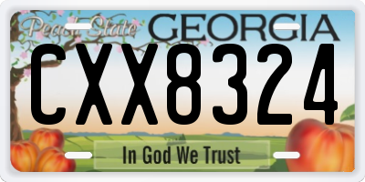 GA license plate CXX8324
