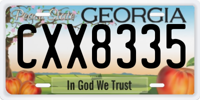 GA license plate CXX8335