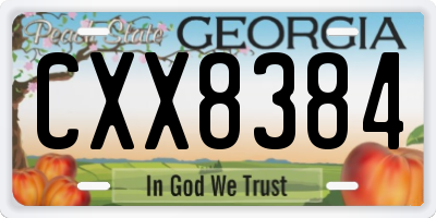 GA license plate CXX8384
