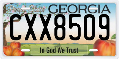 GA license plate CXX8509