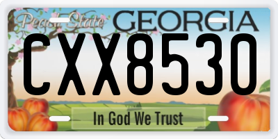 GA license plate CXX8530