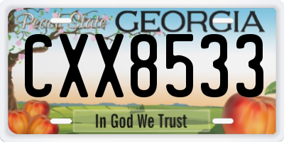 GA license plate CXX8533
