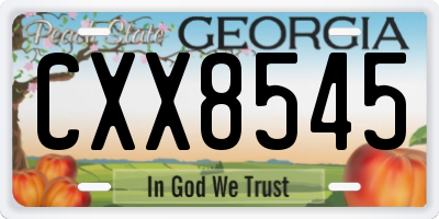 GA license plate CXX8545
