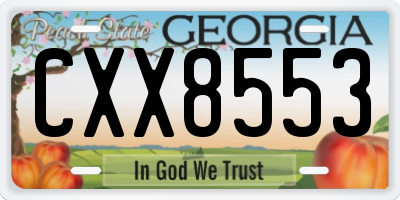 GA license plate CXX8553
