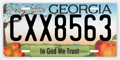 GA license plate CXX8563