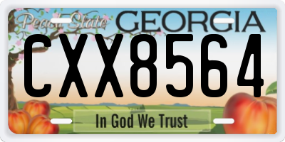 GA license plate CXX8564