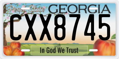 GA license plate CXX8745