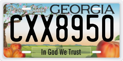 GA license plate CXX8950