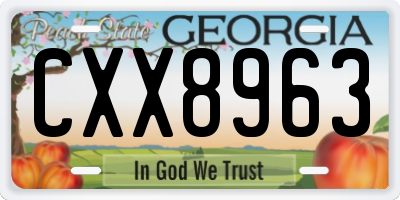 GA license plate CXX8963
