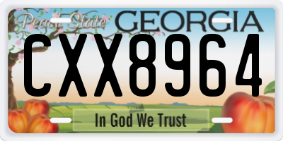 GA license plate CXX8964