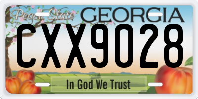GA license plate CXX9028
