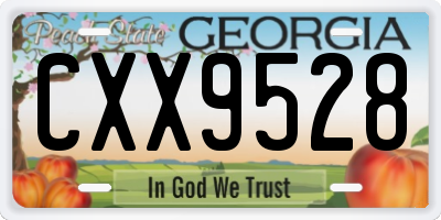 GA license plate CXX9528