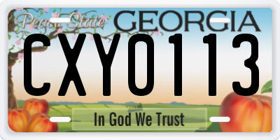 GA license plate CXY0113