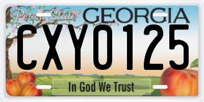 GA license plate CXY0125