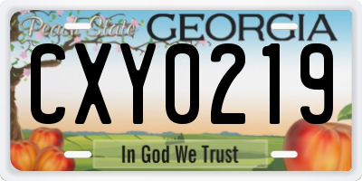 GA license plate CXY0219