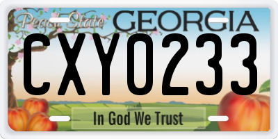 GA license plate CXY0233