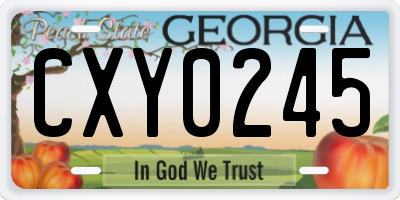 GA license plate CXY0245
