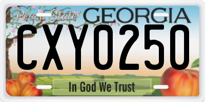 GA license plate CXY0250
