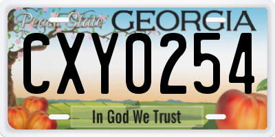 GA license plate CXY0254