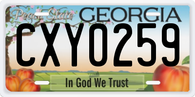 GA license plate CXY0259
