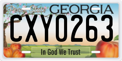GA license plate CXY0263
