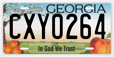 GA license plate CXY0264