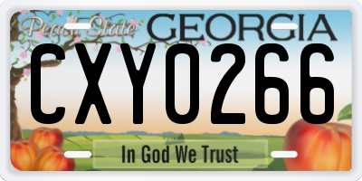 GA license plate CXY0266