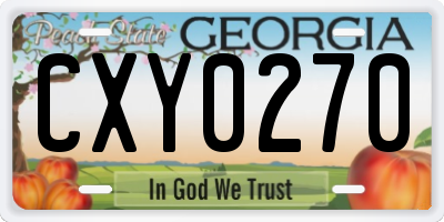 GA license plate CXY0270