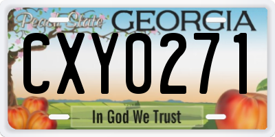 GA license plate CXY0271