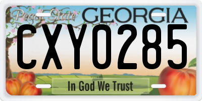 GA license plate CXY0285