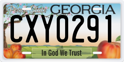 GA license plate CXY0291