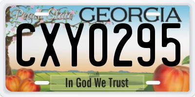 GA license plate CXY0295