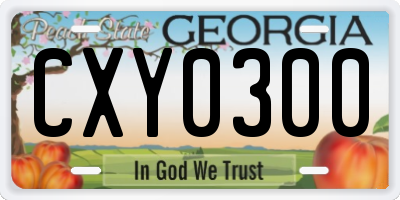 GA license plate CXY0300