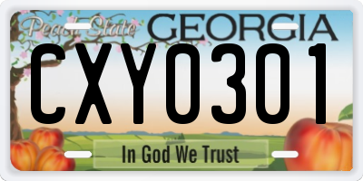 GA license plate CXY0301