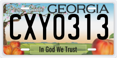 GA license plate CXY0313