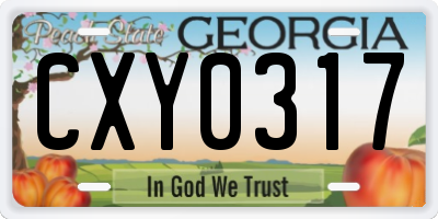 GA license plate CXY0317