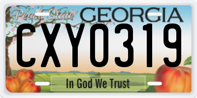GA license plate CXY0319
