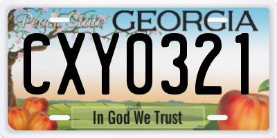 GA license plate CXY0321