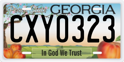 GA license plate CXY0323