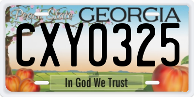 GA license plate CXY0325