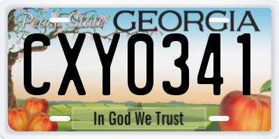 GA license plate CXY0341