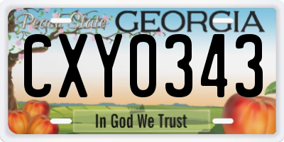 GA license plate CXY0343