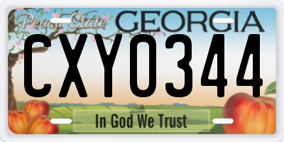 GA license plate CXY0344