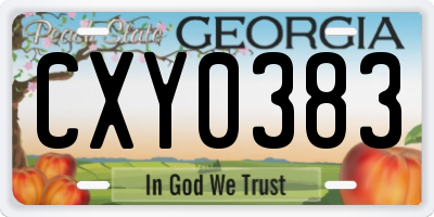 GA license plate CXY0383