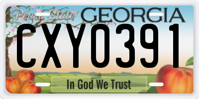 GA license plate CXY0391