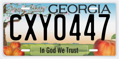 GA license plate CXY0447