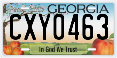 GA license plate CXY0463