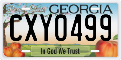 GA license plate CXY0499