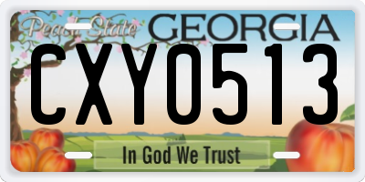 GA license plate CXY0513